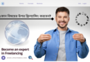 কোন বিষয়ের উপর ফ্রিল্যান্সিং করবেন?